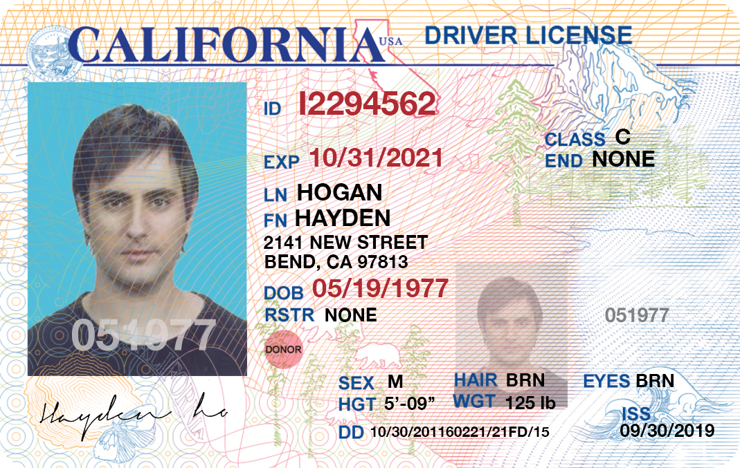California Driver S License Editable Psd Template Download